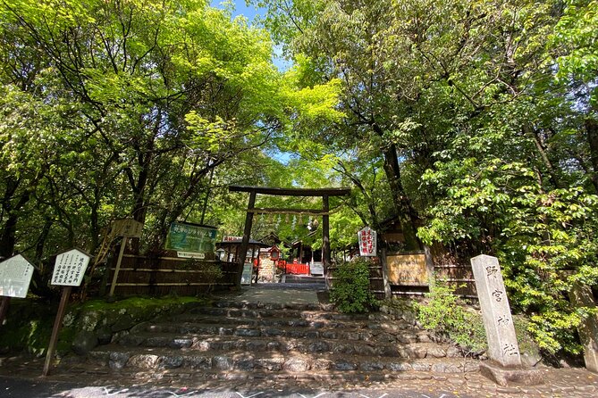 2 Hour Private Tour of Arashiyama Highlights - Accessibility and Participation