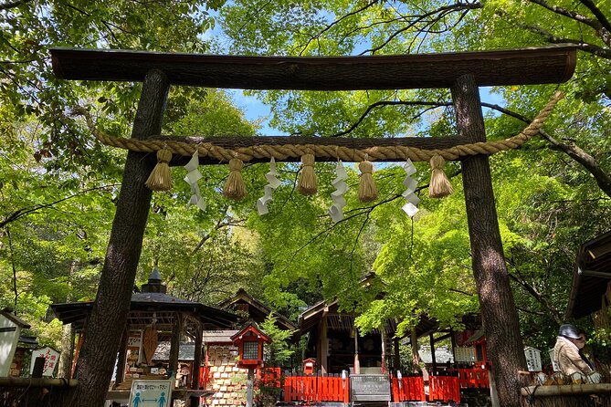 2 Hour Private Tour of Arashiyama Highlights - Exploring Arashiyamas Enchanting Bamboo Grove