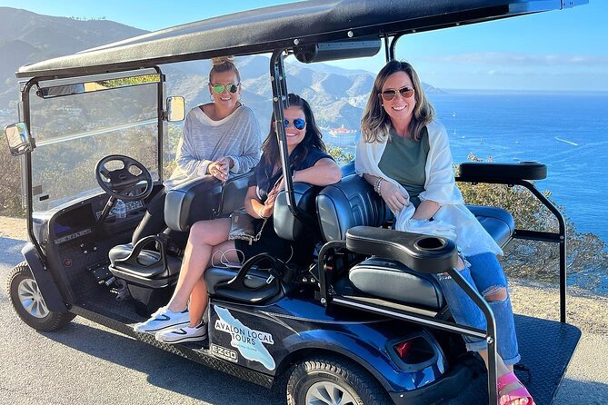 2 Hour Private Tour of Avalon - Tour Features