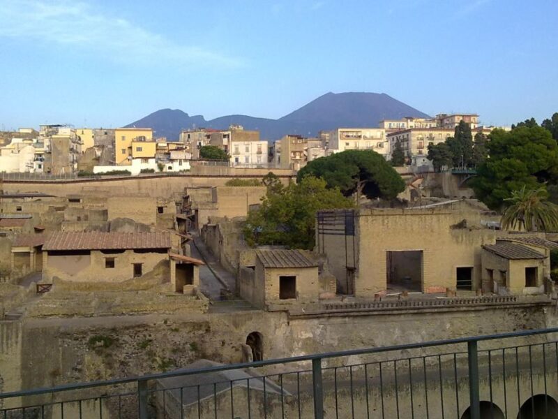 2-Hour Private Tour of the Ruins of Herculaneum - Meeting and Accessibility