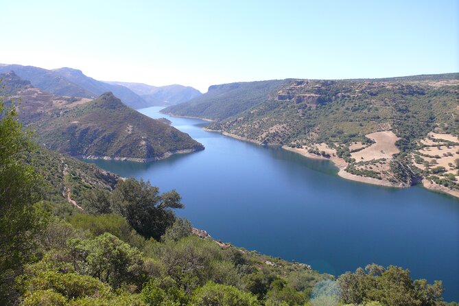 2-Hour Private Tour With Expert Guide in a Vintage Car in Orroli - Vintage Car Experience