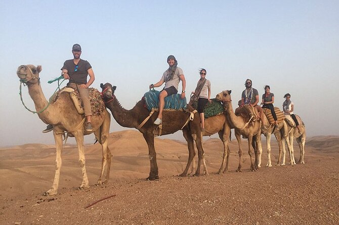 2-Hour Quad Adventure in the Palmerais Desert From Marrakech - Pickup and Transfer Details