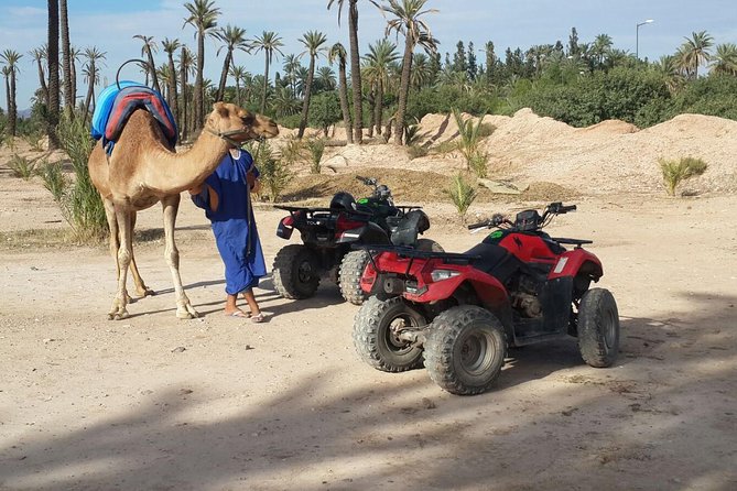 2-Hour Quad Bike & Camel Ride in Marrakech Palmeraie - Highlights of the Experience