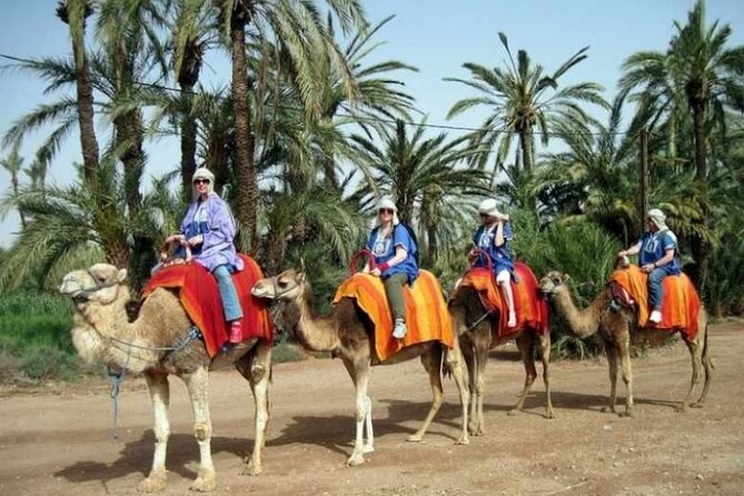 2-Hour Quad Bike & Camel Ride in Marrakech Palmeraie - Traditional Moroccan Mint Tea