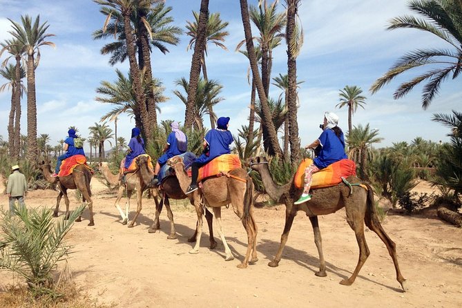 2-Hour Quad Bike & Camel Ride in Marrakech Palmeraie - Quad Bike Adventure