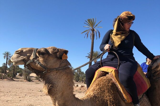 2-Hour Quad Bike & Camel Ride in Marrakech Palmeraie - Tour Group Size and Accessibility