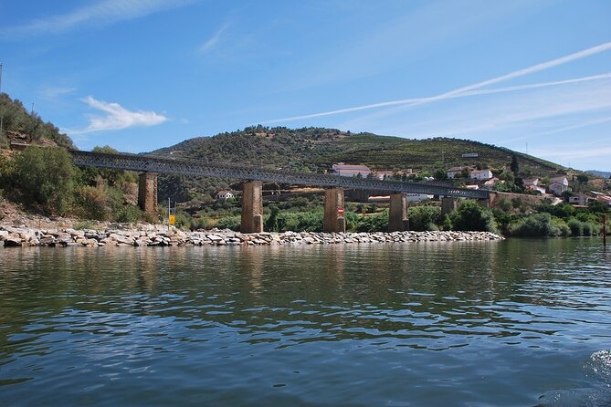 2-Hour Rabelo Boat Tour in Pinhão - Audio Guide App Experiences