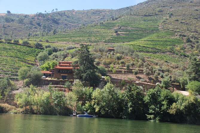 2-Hour Rabelo Boat Tour in Pinhão - Recommendations for Visitors