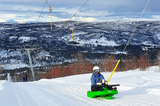 2-Hour Racing Toboggan at Dagali Fjellpark Near Geilo in Norway - Safety and Guidelines