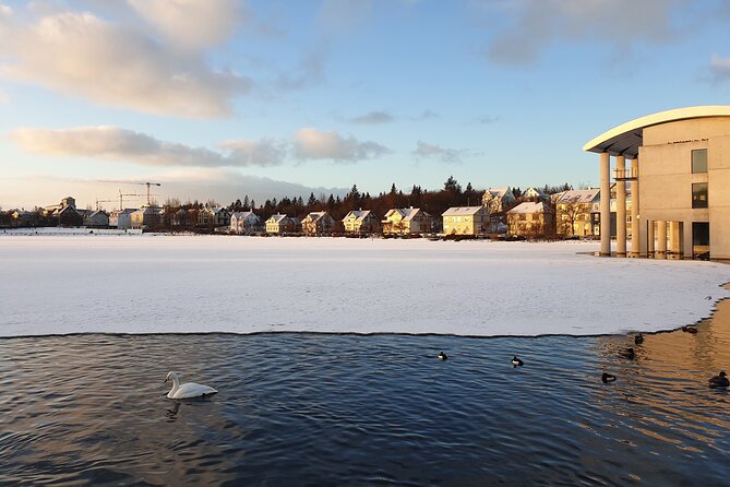 2-Hour Reykjavik Private Walking Tour - Tailored to Your Needs