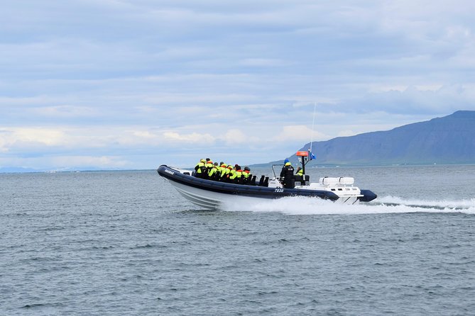 2-Hour RIB Boat Whale Watching Tour From Reykjavik - Wildlife Sightings and Recommendations