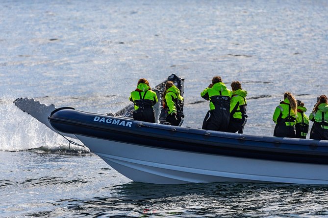 2-Hour RIB Boat Whale Watching Tour From Reykjavik - Tour Group Size