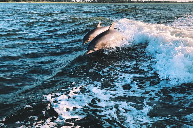 2-Hour Sailboat Watching Dolphins Along the Coast of Sotogrande - Activity Duration and Focus