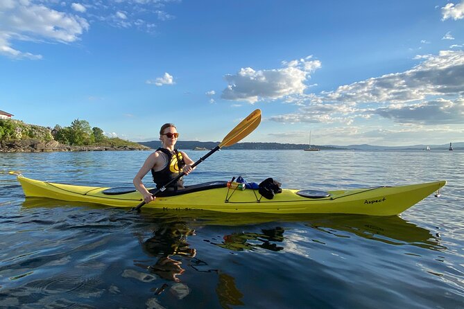 2 Hour Sea Kayak Tour on Oslofjord From Central Oslo - Quick Points