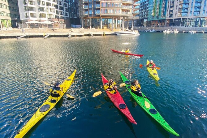 2 Hour Sea Kayak Tour on Oslofjord From Central Oslo - Experience and Safety