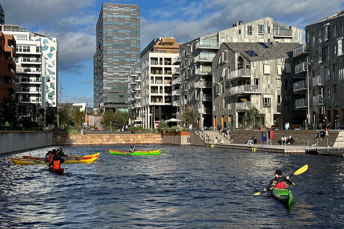 2 Hour Sea Kayak Tour on Oslofjord From Central Oslo - Customer Reviews and Feedback