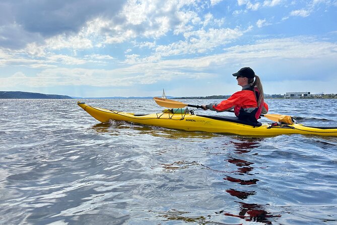 2 Hour Sea Kayak Tour on Oslofjord From Central Oslo - Additional Information