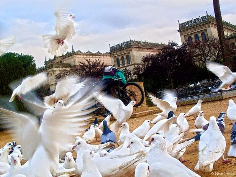 2-Hour Seville Panoramic Walking Tour - Included in the Tour