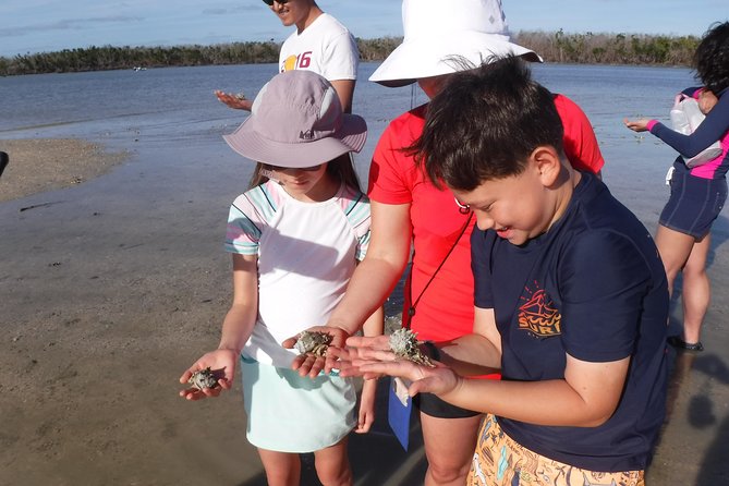 2-hour Shelling Boat Tour in the 10,000 Islands - Wildlife Spotting Opportunities