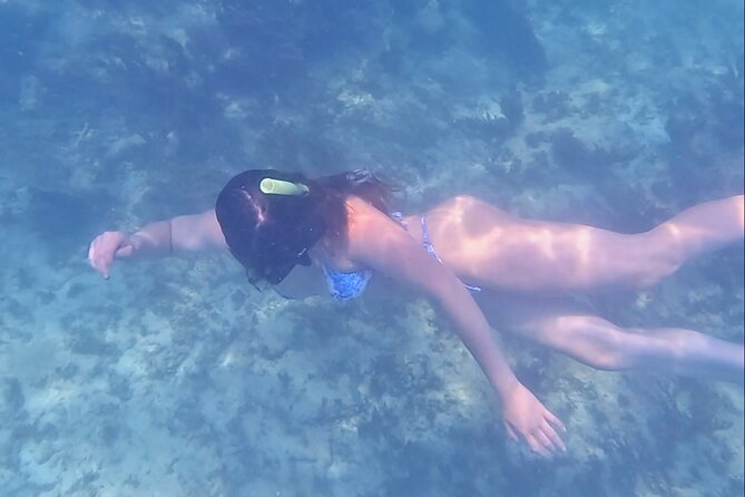 2-Hour Snorkeling in Two Spots of Tulums Reef - Booking and Confirmation Process