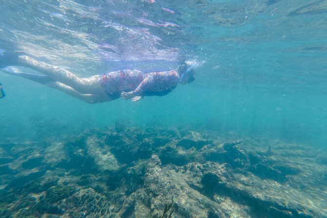 2-Hour Snorkeling in Two Spots of Tulums Reef - Important Considerations for Participants