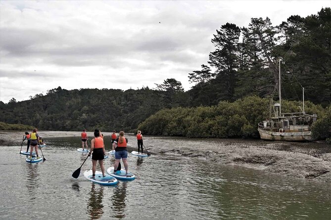 2-Hour Stand-Up Paddle Boarding Tour to Lucas Creek Waterfall - Inclusions
