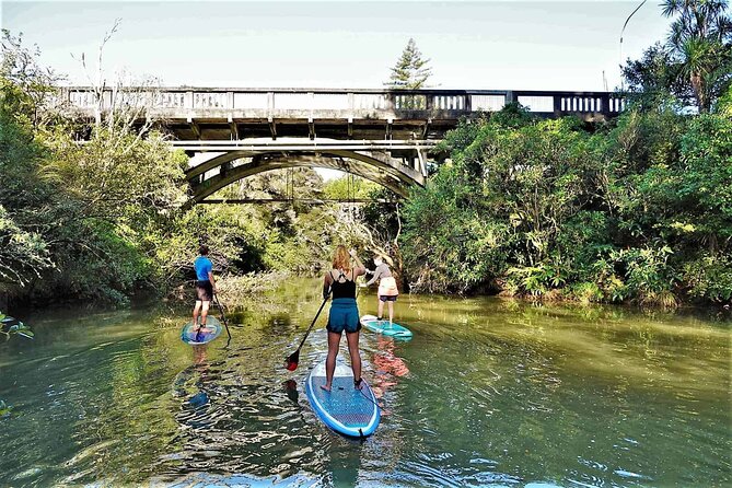 2-Hour Stand-Up Paddle Boarding Tour to Lucas Creek Waterfall - Tour Highlights