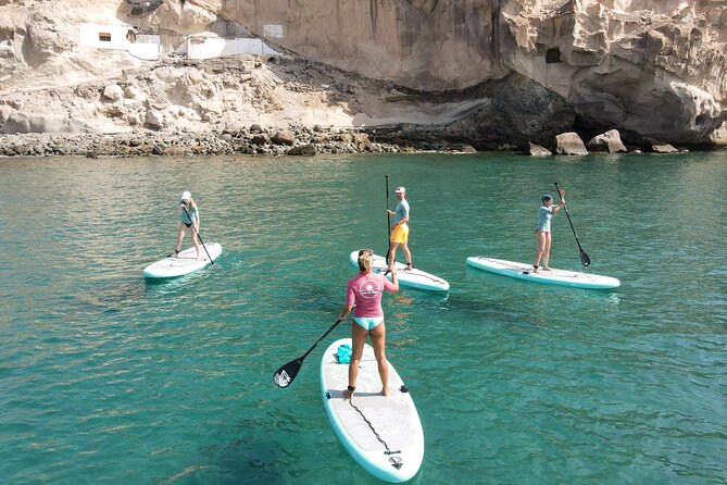 2 Hour Stand Up Paddle Lesson in Gran Canaria - Overview of the Lesson