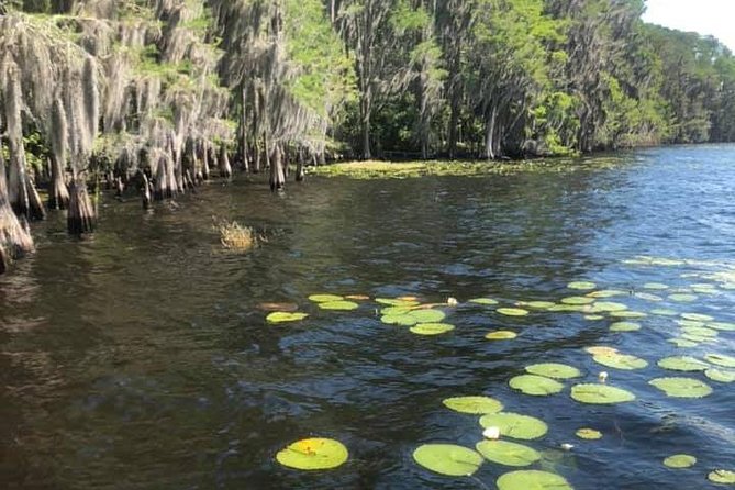 2-Hour Stand up Paddleboard Rental From Lake Buena Vista Area - Booking and Reviews