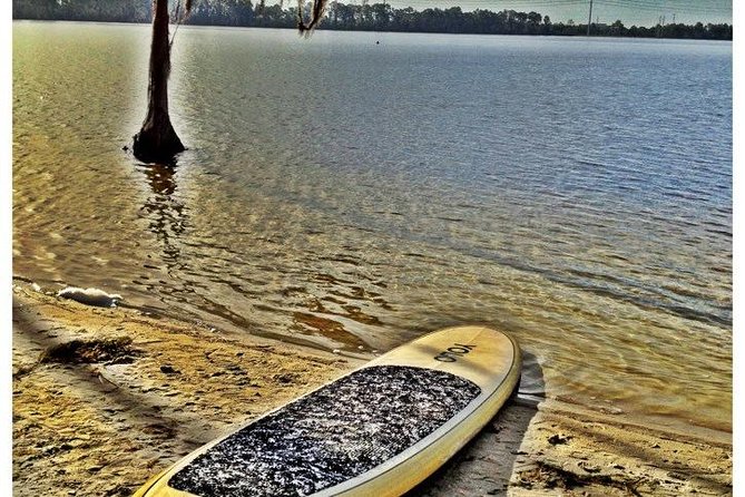 2-Hour Stand up Paddleboard Rental From Lake Buena Vista Area - Complimentary Parking and Beach Access