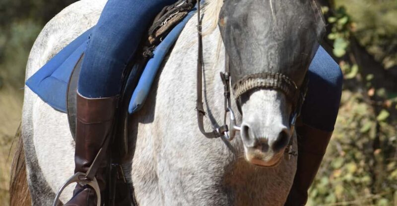 2 Hour Sunrise Horseback Safari - Booking Information