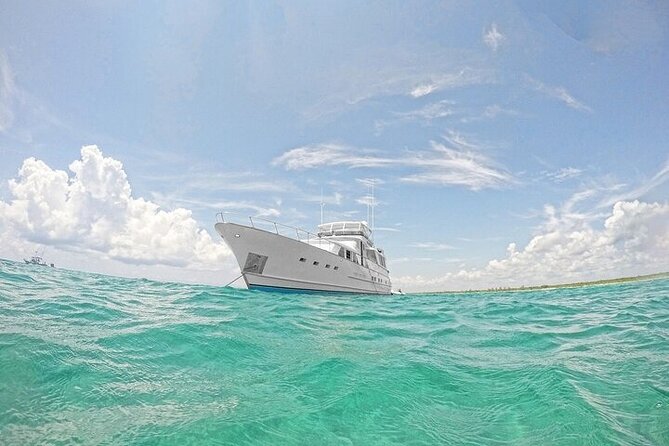 2 Hour Sunset-80 Pura Vida, Tulum Playa Del Carmen, Riviera Maya - Cancellation Policy