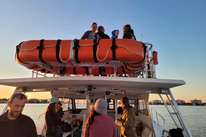 2 Hour Sunset Cruise in Clearwater, Florida - Cruise Highlights and Features