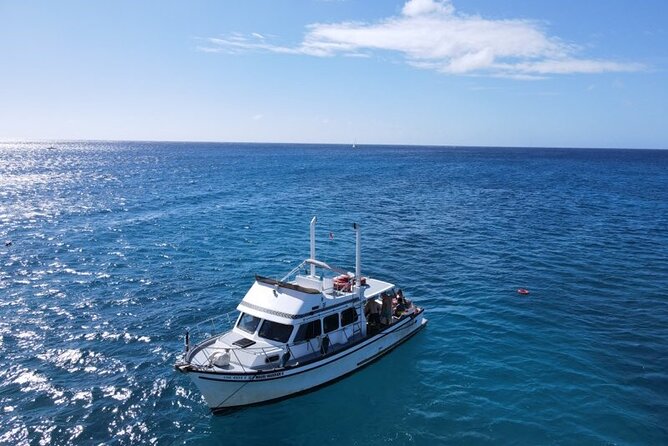 2-Hour Sunset Cruise in Honolulu - Meeting and Pickup Information