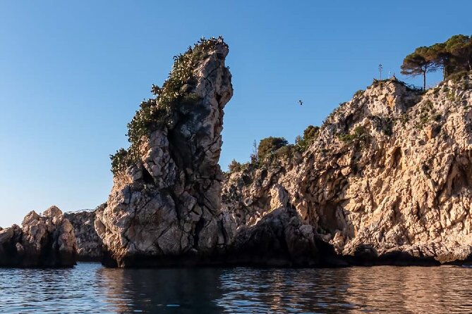 2 Hour Sunset Dolphin Watching Shared Tour - Inclusions