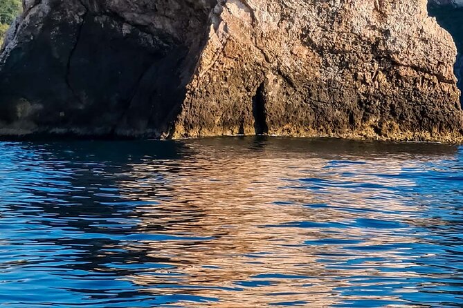 2 Hour Sunset Dolphin Watching Shared Tour - Booking Information