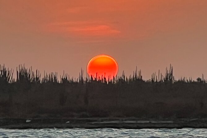 2 Hour Sunset Kayak Tour: War Veterans Memorial Park - Sunset Kayak Experience