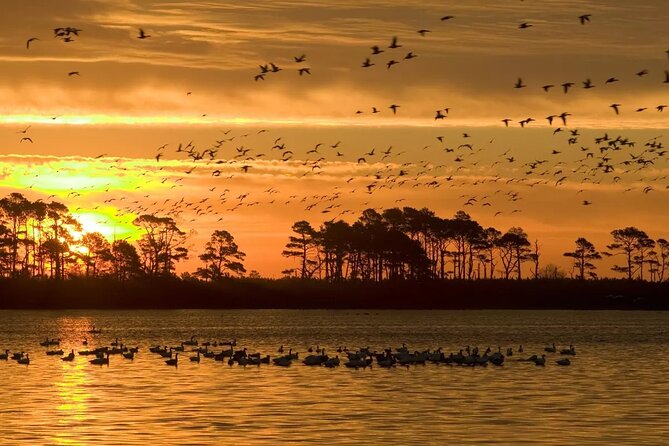 2-Hour Sunset Pontoon Boat Rental in Chincoteague Island, VA - Meeting Point and Check-in Process