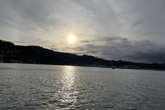 2-Hour Sunset Sailing Experience on San Francisco Bay - Wildlife Sightings
