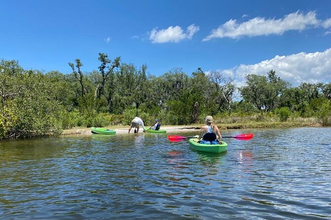 2 Hour Tandem Kayak Tour (Price for 2 People) - Meeting and Pickup