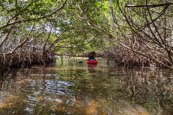 2 Hour Tandem Kayak Tour (Price for 2 People) - Additional Information