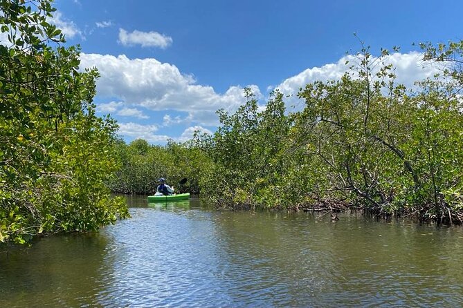 2 Hour Tandem Kayak Tour (Price for 2 People) - Sponge Docks Souvenir Visit