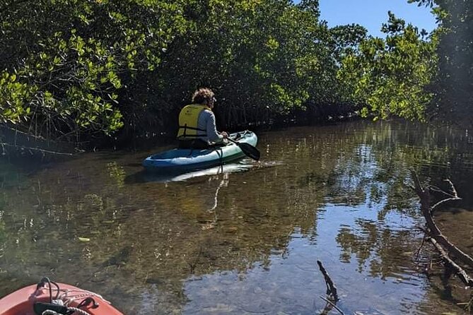 2 Hour Tandem Kayak Tour (Price for 2 People) - Tour Experience