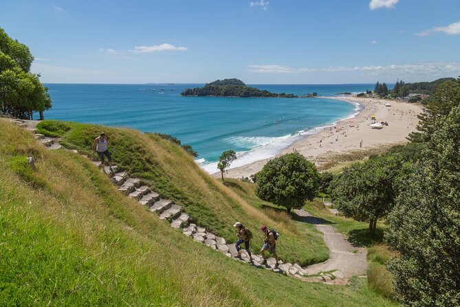 2-Hour Tauranga & Mount Maunganui City & Scenic Local Tour - Customer Reviews and Feedback
