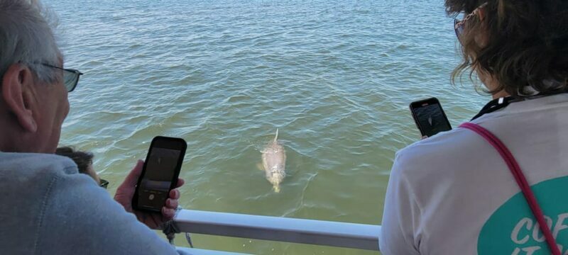 2 Hour Tiki Dolphin Sightseeing Tour in Cocoa Beach - Why This Tour Works for Different Travelers