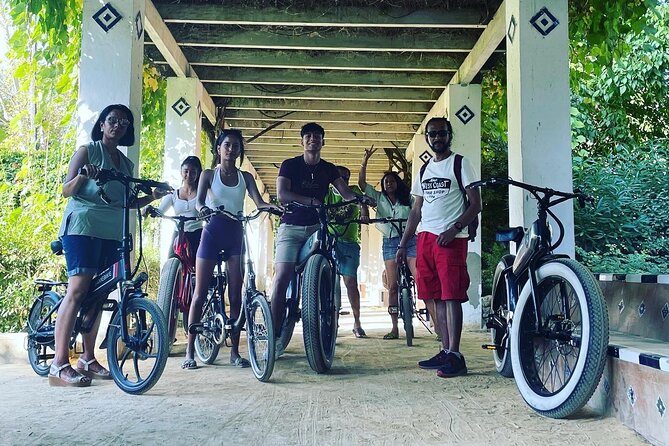 2 Hour Tour Discover Seville Like a Local on an ELECTRIC BIKE - Meeting and End Point