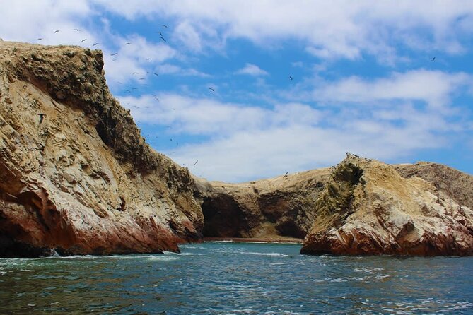 2-Hour Tour to the Ballestas Islands From Puerto San Martín - Wildlife and Sightseeing