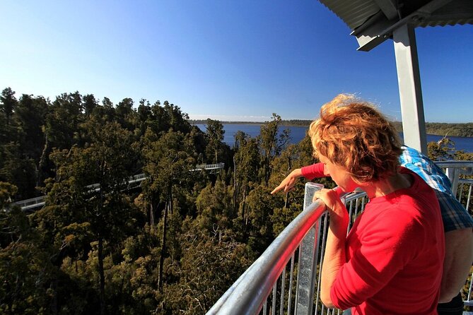 2-Hour Tower Zipline and Walkway Combo Private Guided Activity - Meeting and Pickup