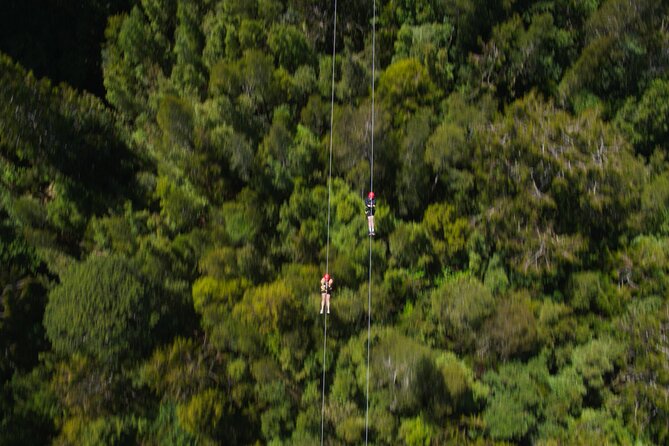 2-Hour Tower Zipline and Walkway Combo Private Guided Activity - Inclusions and Exclusions