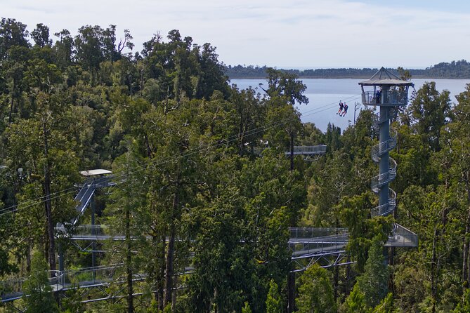 2-Hour Tower Zipline and Walkway Combo Private Guided Activity - Health and Safety Information